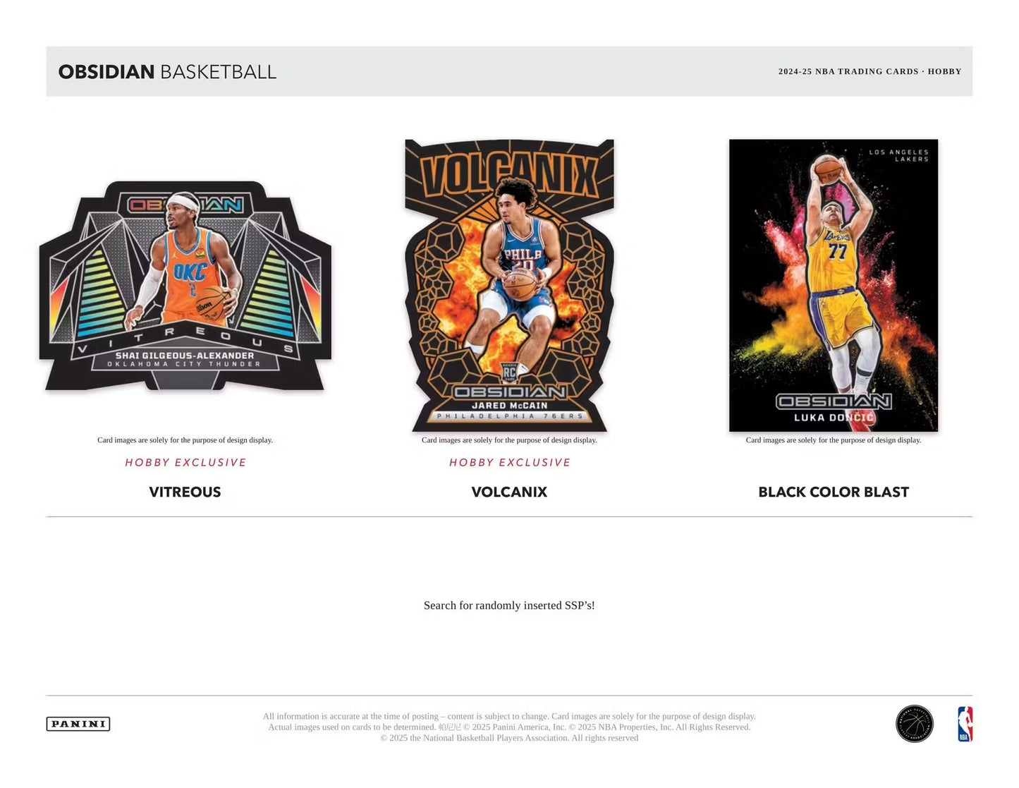 2024-25 Panini Obsidian basketball Hobby Box